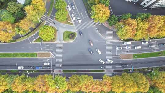 城市秋天道路风景航拍