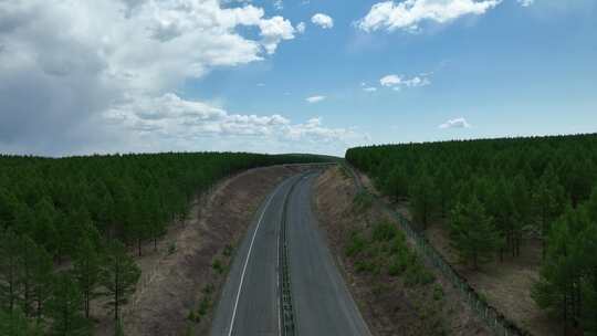 大兴安岭森林新绿林间高速公路视频素材模板下载