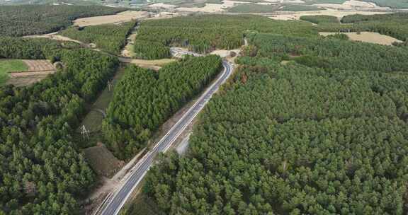 穿过森林的道路俯瞰航拍