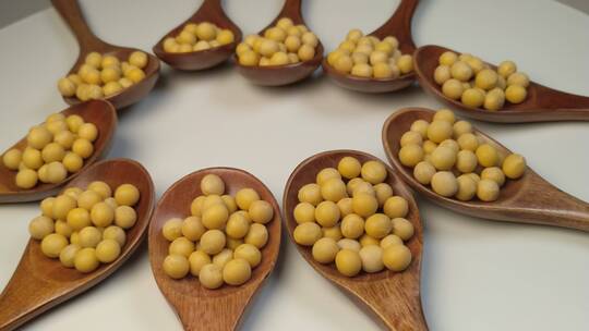 黄豆食品健康有机农产品