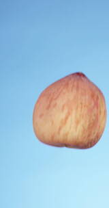 2K竖屏高速摄影蓝色背景下抛起的水蜜桃