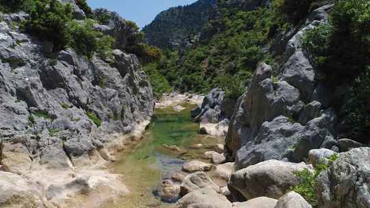 生长在峡谷空中水池附近岩石悬崖上的树木