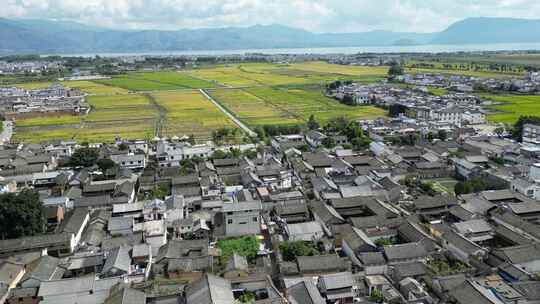 大理稻田航拍风光