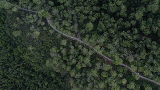 顶视航拍马峦山汤坑手作步道一期D视频素材模板下载