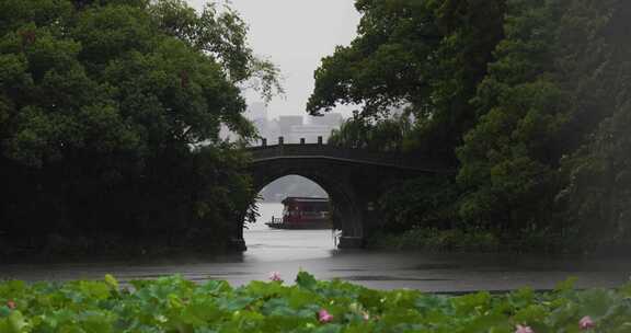 杭州西湖风光雨中的曲院风荷