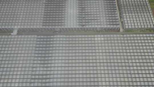 现代农业大棚种植基地航拍