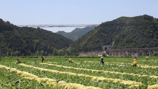 航拍乡村振兴新农村