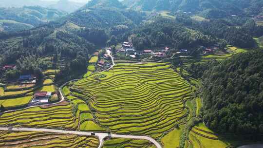 航拍山区乡村梯田