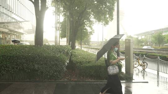 上海陆家嘴雨天街景