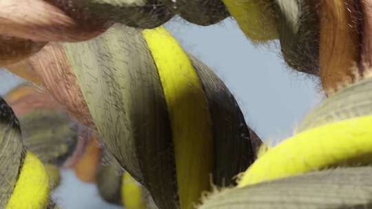 绳子、织物、柔软、麻绳