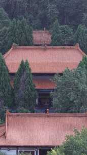 竖版航拍阳朔十里画廊监山寺