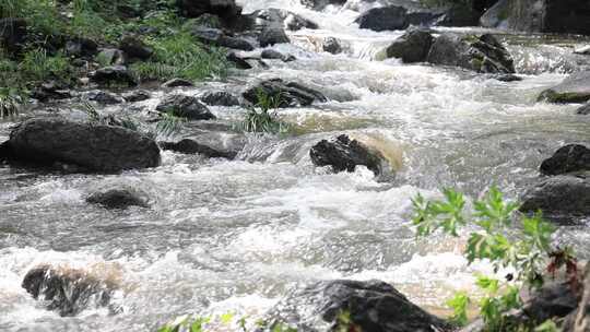 森林中 山泉小溪水