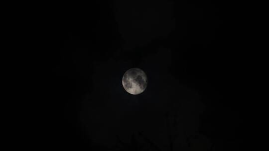 月亮月夜