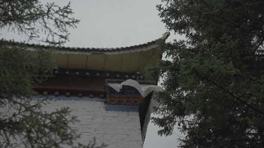 林芝市巴松措风光