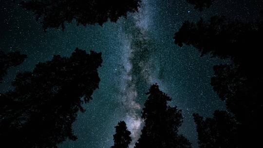香格里拉普达措森林星空银河延时摄影