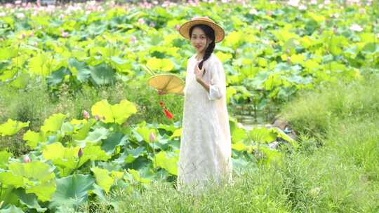 荷花池古风唯美少女中国汉服意境塘游玩