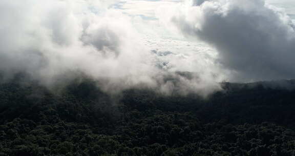 森林光影云雾天然氧吧清晨山间云雾大自然