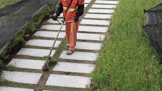 城市公园里正在除草修整草坪的园丁合集