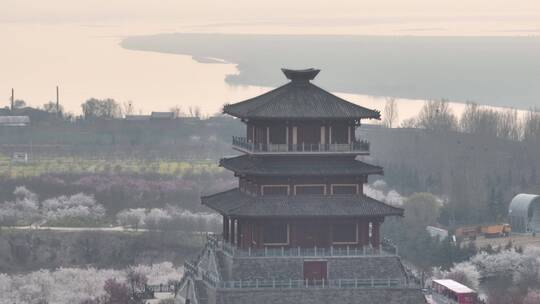 孤柏渡飞黄旅游区樱花园鲜花盛开