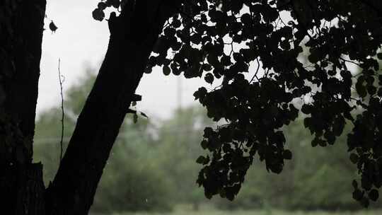 多雨，多云，天气，空气