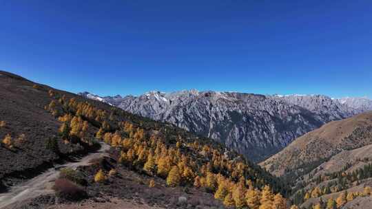 航拍川西格聂南线雪山秋景