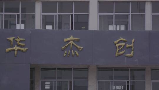 校园 中小学生 学习 生活