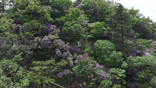 河南伏牛山山脉平顶山尧山层峦叠嶂的山峰