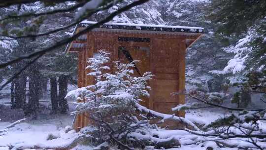 雪中树林中的木屋