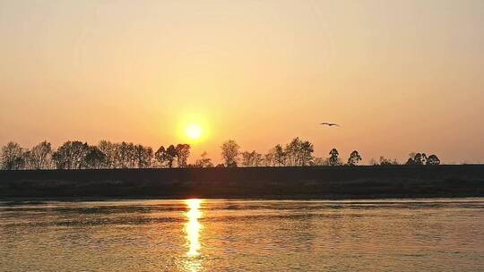 高清航拍日落夕阳江边小鸟鸭子鸟河水仙鹤