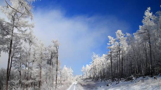 大兴安岭冬季雪林银装素裹