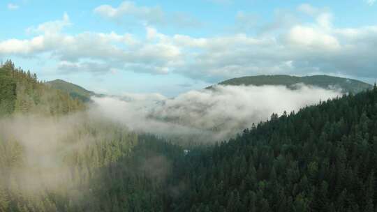 森林雾气早晨云山雾绕仙境视频素材模板下载