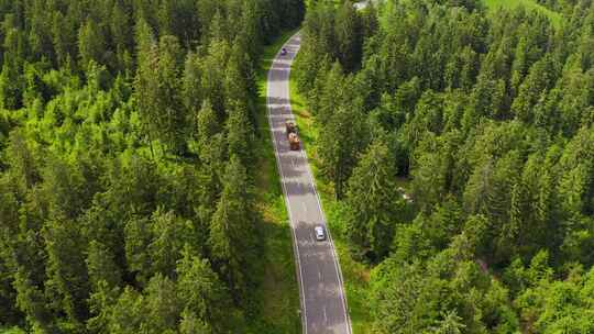 汽车在蜿蜒的道路上行驶，穿过绿色森林地区