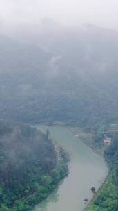 自然风光山中河流清晨迷雾竖屏航拍