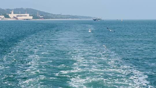 海上海鸥飞翔