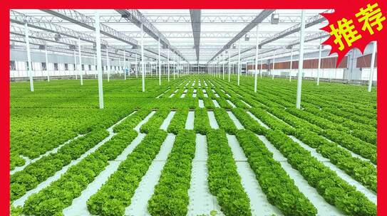 智慧数字化农业温室大棚