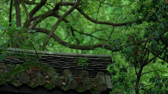 111 杭州 寺庙 古建筑 下雨天 屋檐视频素材模板下载