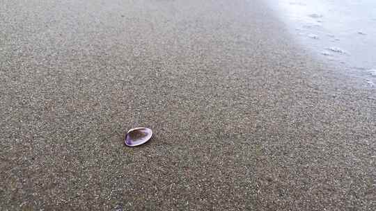 海滩 看海 沙滩 海浪 浪花 贝壳