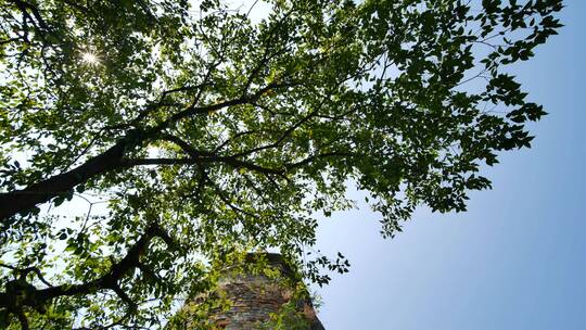 广西桂林象鼻山的普贤塔