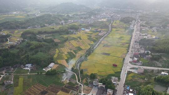 航拍乡村秋收稻谷土地