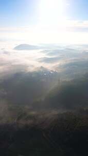 竖屏航拍清晨山川云海云雾风景