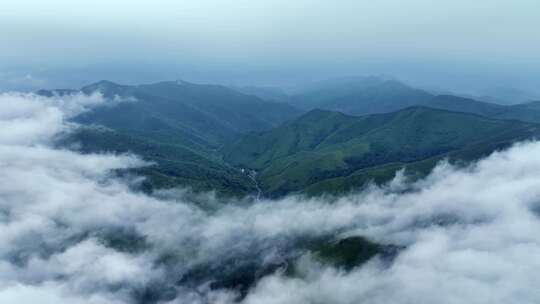 4K山峰云海风景山脉营口黄丫口森林