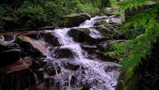 实拍山涧水流升格视频素材