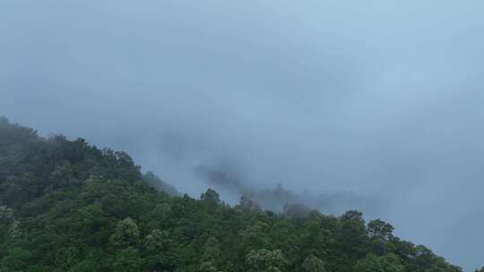 森林云雾森林云海树林航拍森林雨天森林氧吧