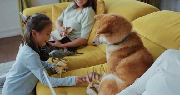 小女孩与柴犬狗狗在沙发上玩耍的温馨画面