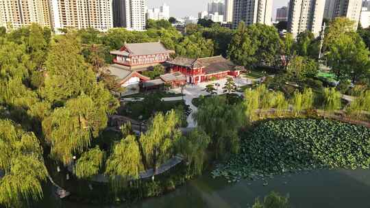 西安兴庆公园古建筑航拍