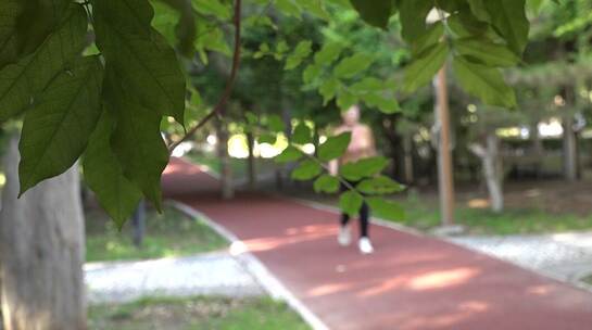 市民健身公园步道走步健康生活透过树叶看人