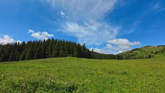 新疆博乐天山大峡谷自然风景