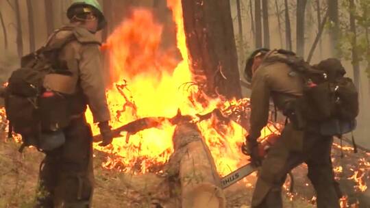 消防队员扑灭森林火灾视频素材模板下载