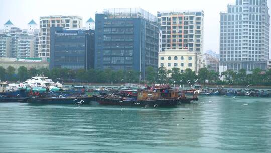 深圳蛇口渔民码头
