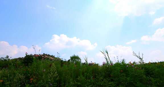 多云天空延时 天空 天空延时 延时